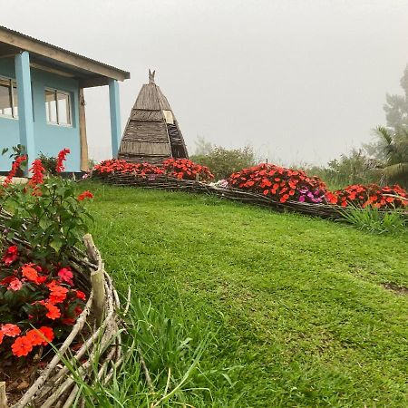 Au coeur de la Cascade Biberon Bed and Breakfast La Plaine-des-Palmistes Exterior foto