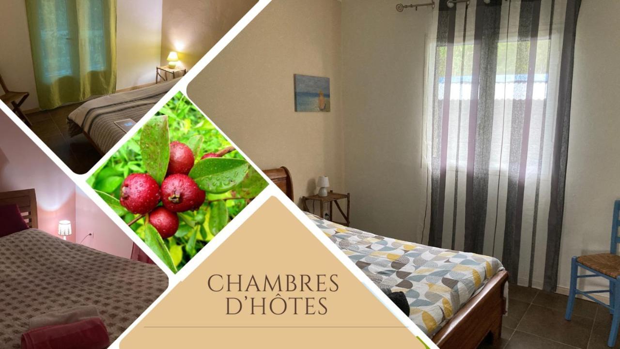 Au coeur de la Cascade Biberon Bed and Breakfast La Plaine-des-Palmistes Exterior foto
